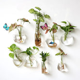 Wandbehang-Blumenvase aus Glas